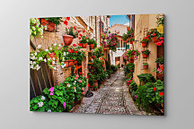 Obraz Pozdrav z Toskánska